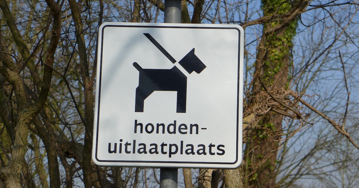 Luyksgestel opent eigen hondenlosloopgebied in bossen