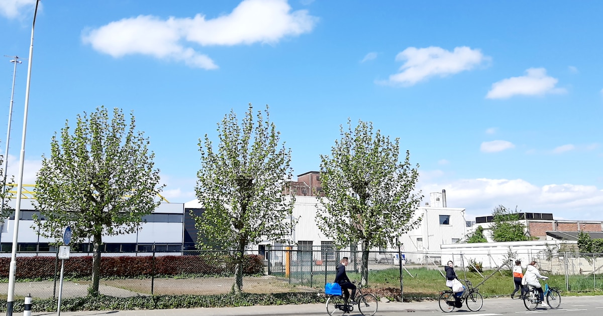 Honderden nieuwe woningen in Breda-West, maar geen plek voor een huisarts: hoe kan dat?