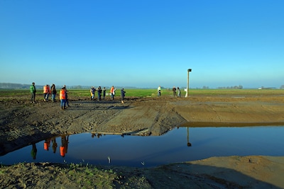 Hoe blubber langs de Steenbergsche Vliet veranderde in een ecologische parel