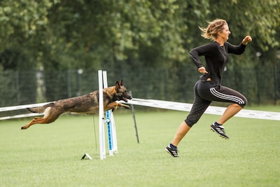 Weerstand tegen hondenpension aan Grauwe Polder Etten-Leur groeit: ‘We waarderen je passie, maar nie