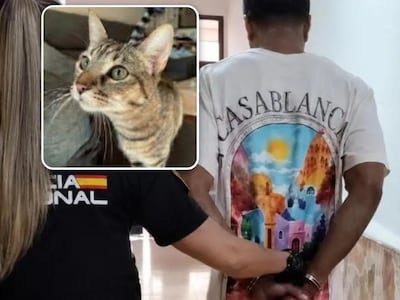 Spaanse rechter zet dierenbeul het land uit na brute moord o