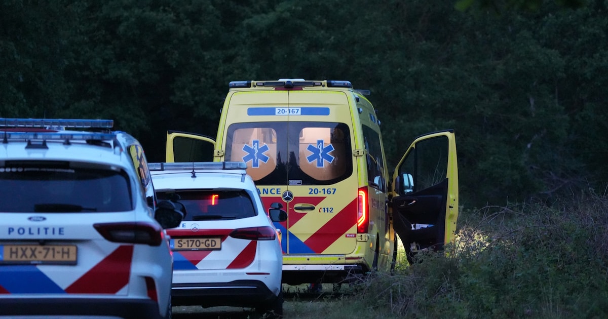 Kinderen vinden lichaam tijdens bosspel in Rijen | Regio | BN DeStem.nl