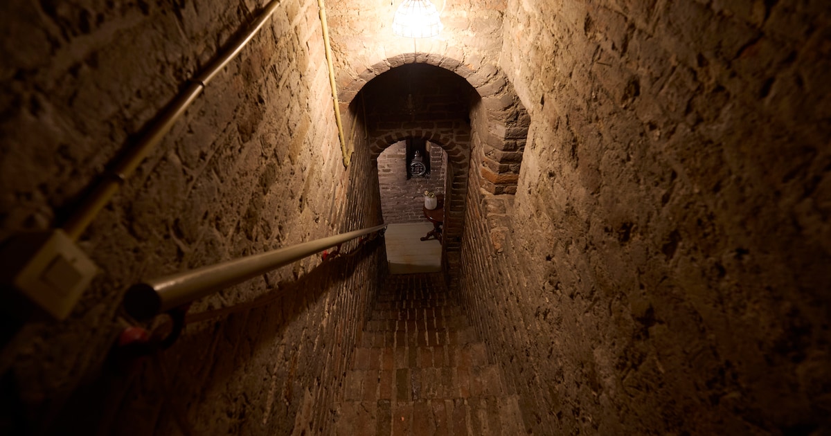 Ringwalburg Burgh krijgt internationale aandacht