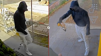 Hond voorkomt dat baasje in Steenbergen wordt beroofd, dader maanden later nog altijd spoorloos