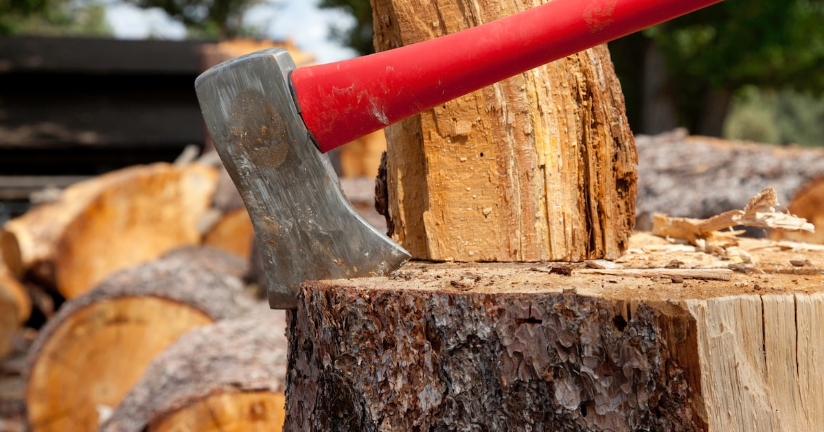 Gemeente Zundert haalt snoeihout op