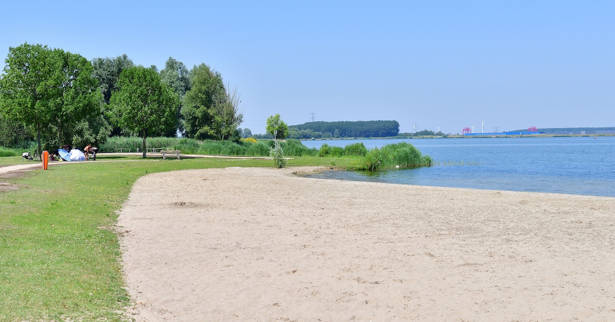 Niet iedere strandganger trekt zich iets aan van blauwalg-waarschuwing: ‘Spoel het straks gewoon af 
