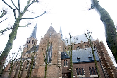 Kerken Wagenberg en Terheijden krijgen een nieuwe bestemming: parochie gaat de gebouwen verkopen