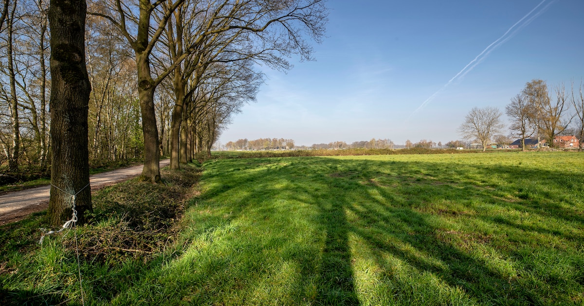 IVN De Kempen houdt speurtocht voor kinderen in De Groene Long in Bladel