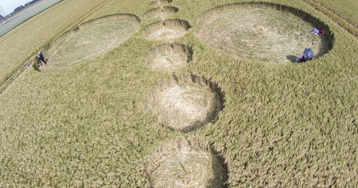 Robbert van den Broeke ontdekt weer graancirkels in veld langs de A17 bij Standdaarbuiten