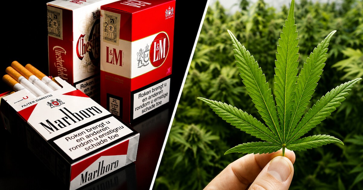 Van Marlboro tot marihuana: de verrassende nieuwe wereld van Philip Morris