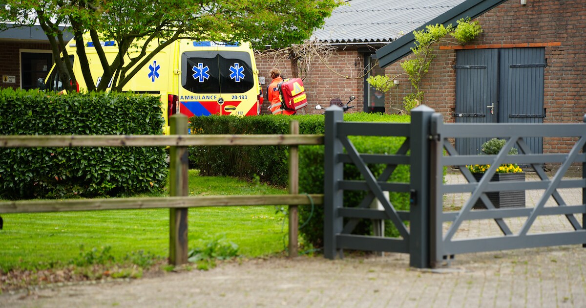 Man zwaargewond door trap van paard in De Moer