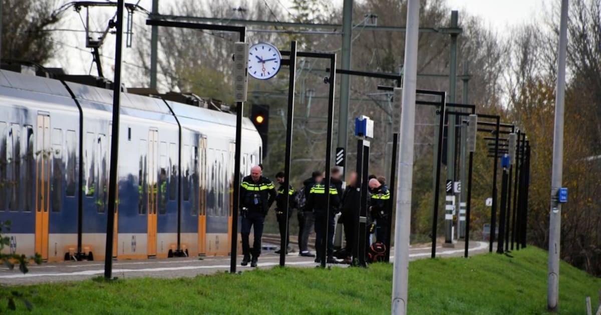 Politie grijpt in bij vechtpartij in trein richting Vlissingen