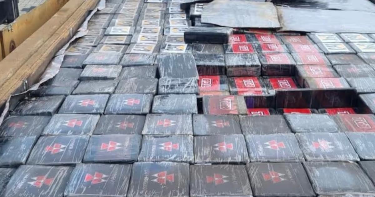 Iemand die zich ‘Edgar Davids’ noemt en ‘schaapsherder’ betrokken bij cocaïnetransport van 3200 kilo