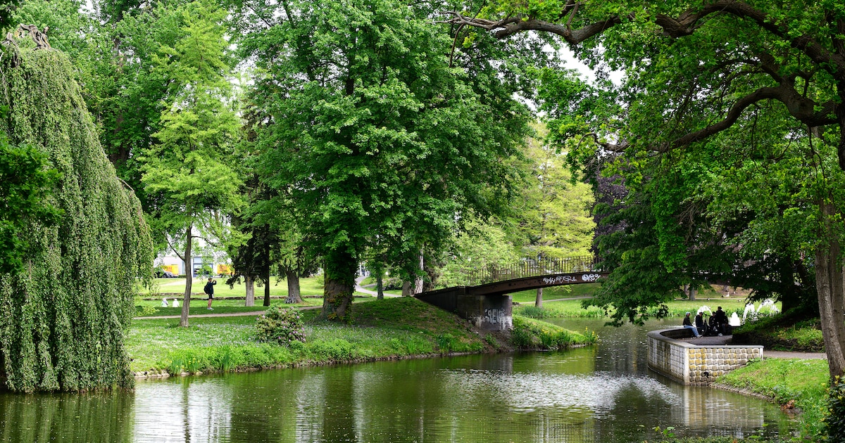 Prachtig park, maar groeiende ergernis: ‘Onder de brug wordt gedeald en overal ligt rotzooi’