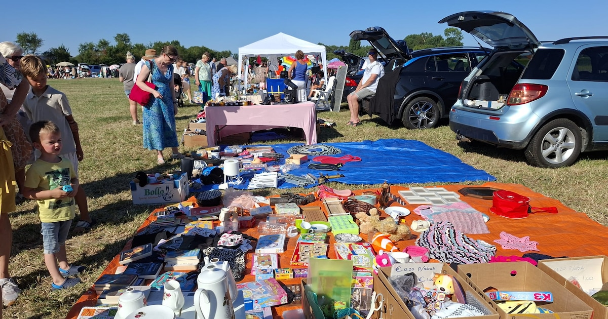 Kringloop Zevenbergen houdt kofferbakverkoop in Zevenbergen
