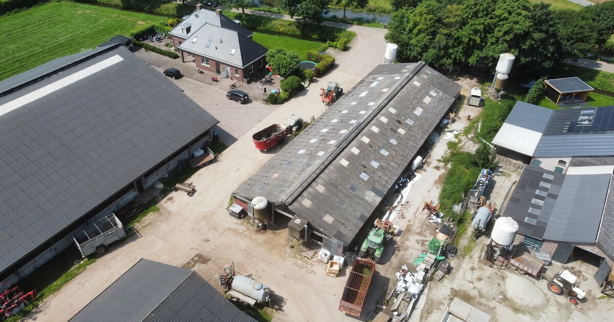 NVWA doet inval bij omvangrijke illegale slachterij in Acquoy en redt achttien schapen van de slacht
