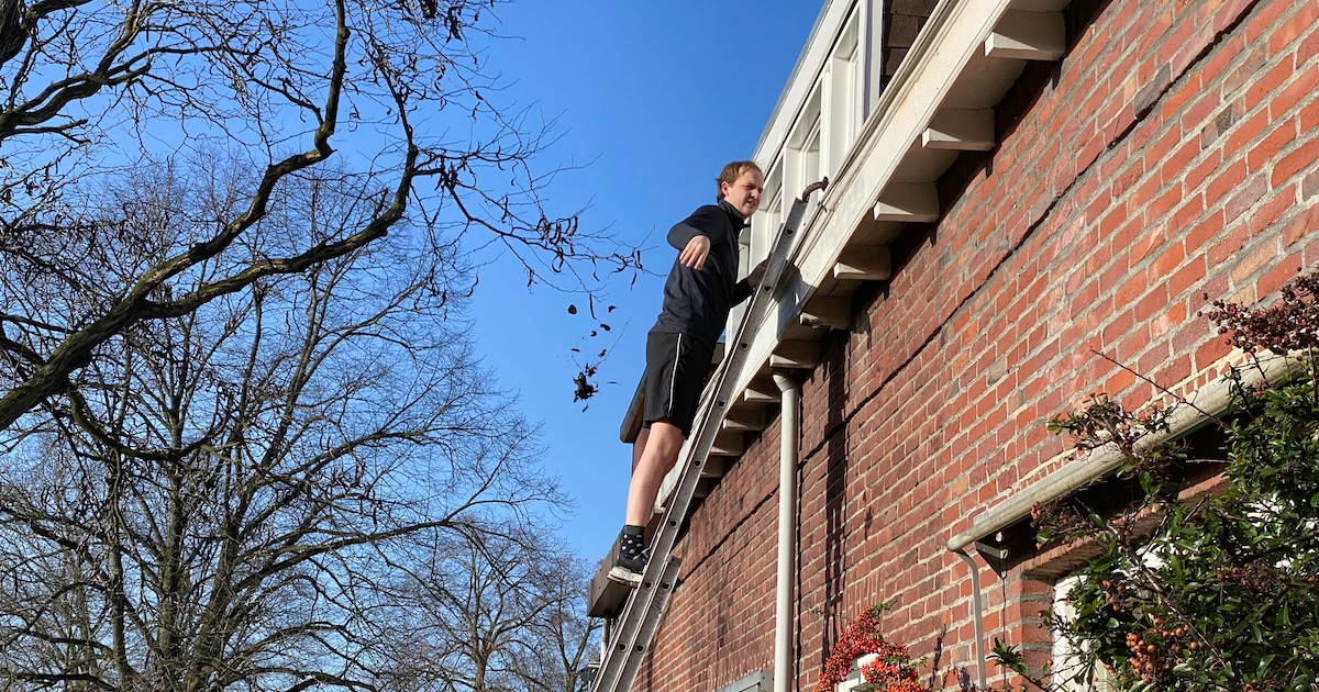 WOZ-waarde in Etten-Leur stijgt al twee jaar harder dan de huizenprijzen