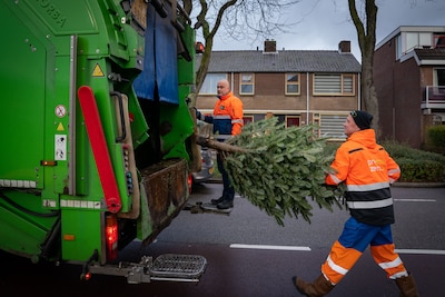 Breda haalt kerstbomen op in januari