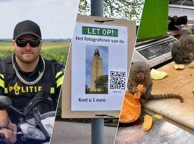 Oranje oesters en nieuwe naam voor CDA Goes: Zeeland pakt groots uit op 1 april