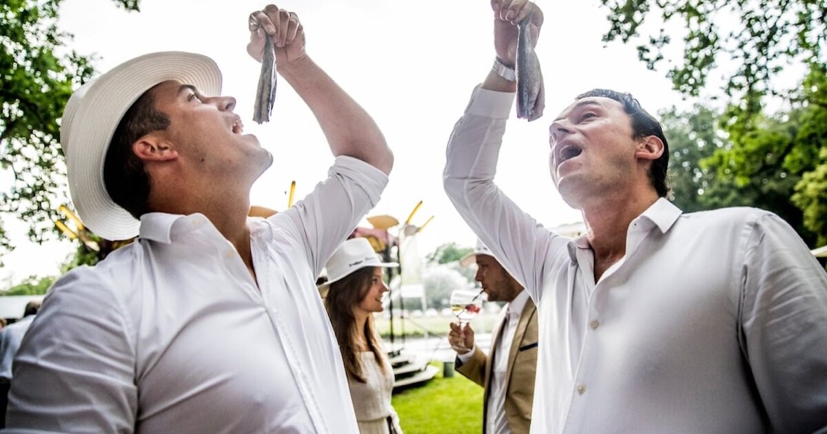 Haringparty in Mijnsheerenland voor goede doel | Hoeksche Waard