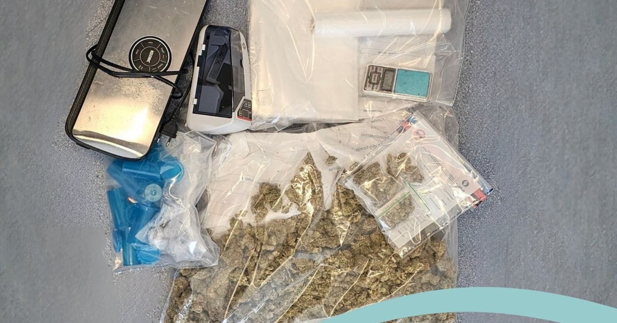 Bestuurder vlucht voor politiecontrole en rijdt zich vast: 500 gram cannabis gevonden