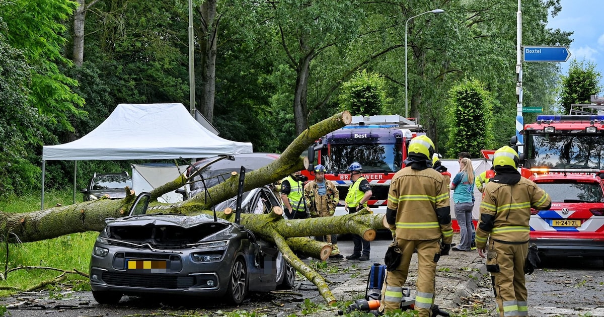 Ondernemer en politicus Gerrit (45) overleden nadat boom op auto valt in Boxtel, collega’s geschokt