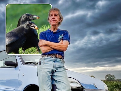 Twaalf jaar lang volgde Arie elke dag twee kraaien, nu moet hij afscheid nemen van zijn geliefde vogels