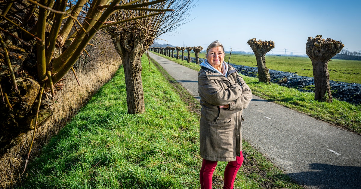 300 bomen dreigen gekapt te worden, en daar is niet iedereen blij mee: ‘Eigenlijk een soort discrimi