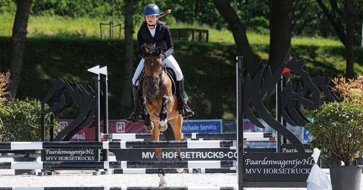 Concours Hippique in Halsteren: ‘Ik ben op een schaap begonnen’