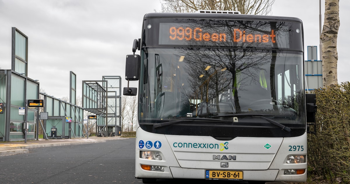 Snelle busverbinding Gent–Terneuzen mogelijk vanaf december: ‘Reistijd drastisch inkorten’