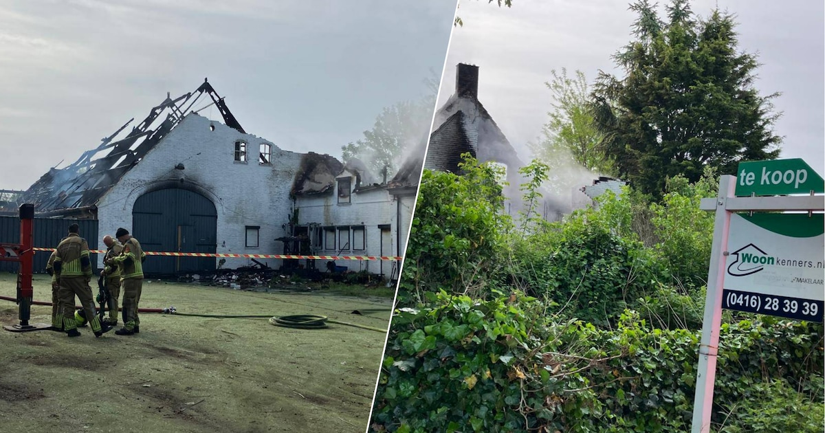 Geitenboerin staat om 05.00 uur in pyjama buiten door grote brand bij buren: ‘Gelukkig geen drugslab