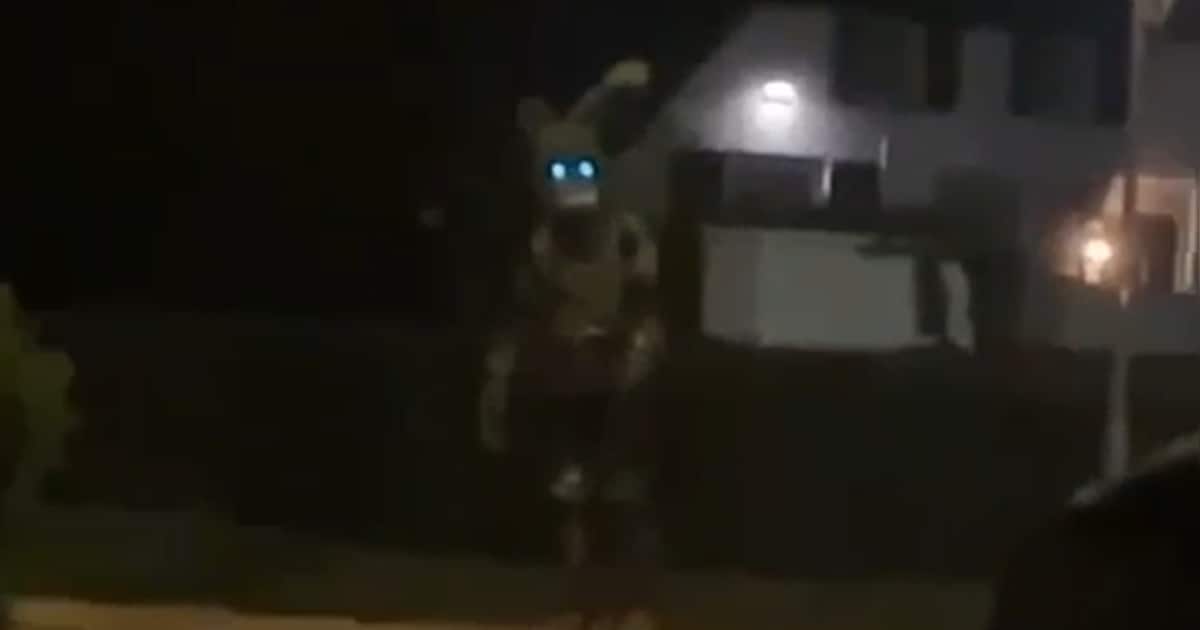 Horrorkonijn jaagt mensen de stuipen op het lijf in Haarsteeg: ‘Hij heeft ook een mes vast hè’