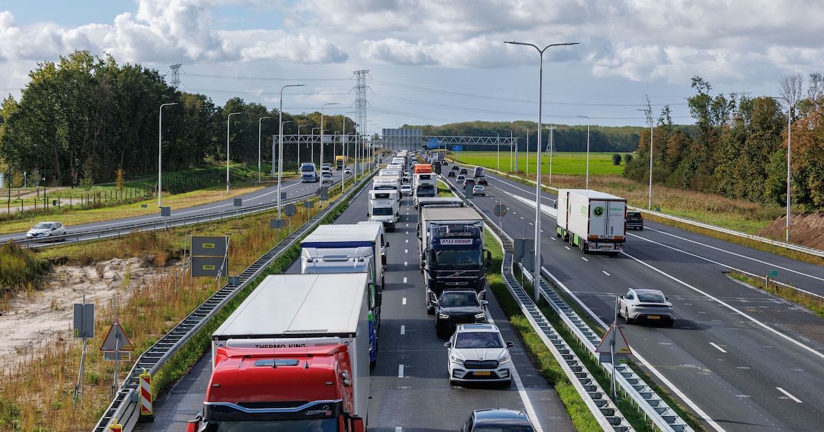 Hooipolder gaat voor het laatst op de schop, maar één probleem blijft bestaan
