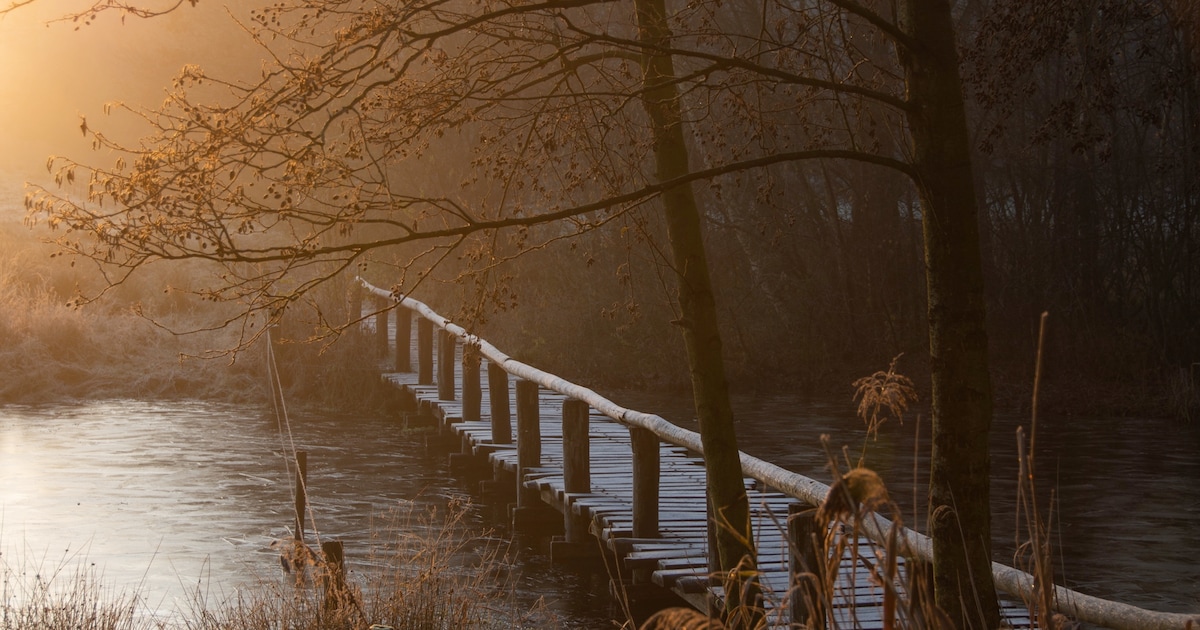 IVN Mark & Donge houdt natuurwandeling door Pannenhoef bij Rijsbergen