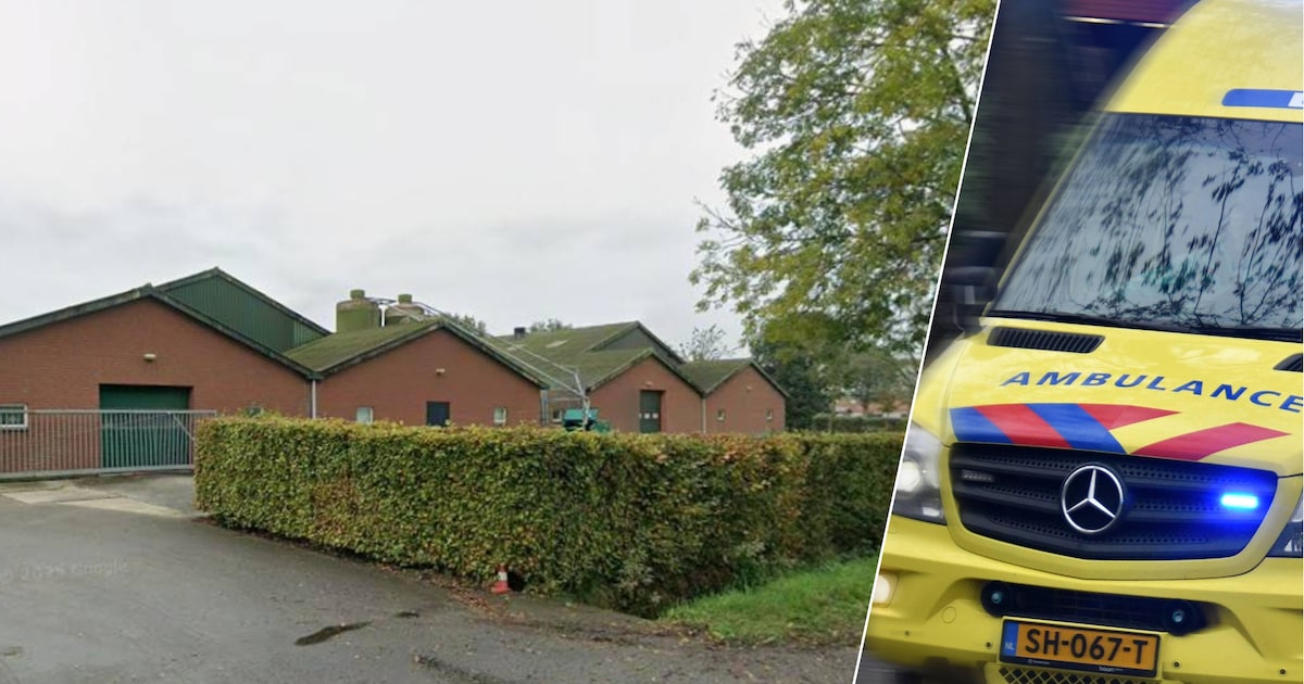 Jongen (15) komt om het leven bij ongeluk tijdens sloopwerk bij stal in Nederweert