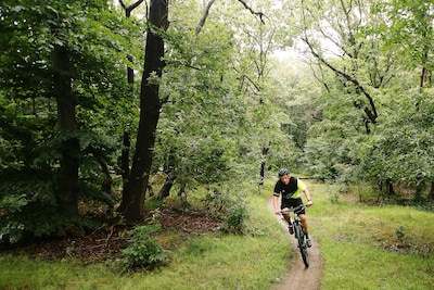 Geen verbod op mountainbiken door bos in Teteringen ondanks klachten eigenaar