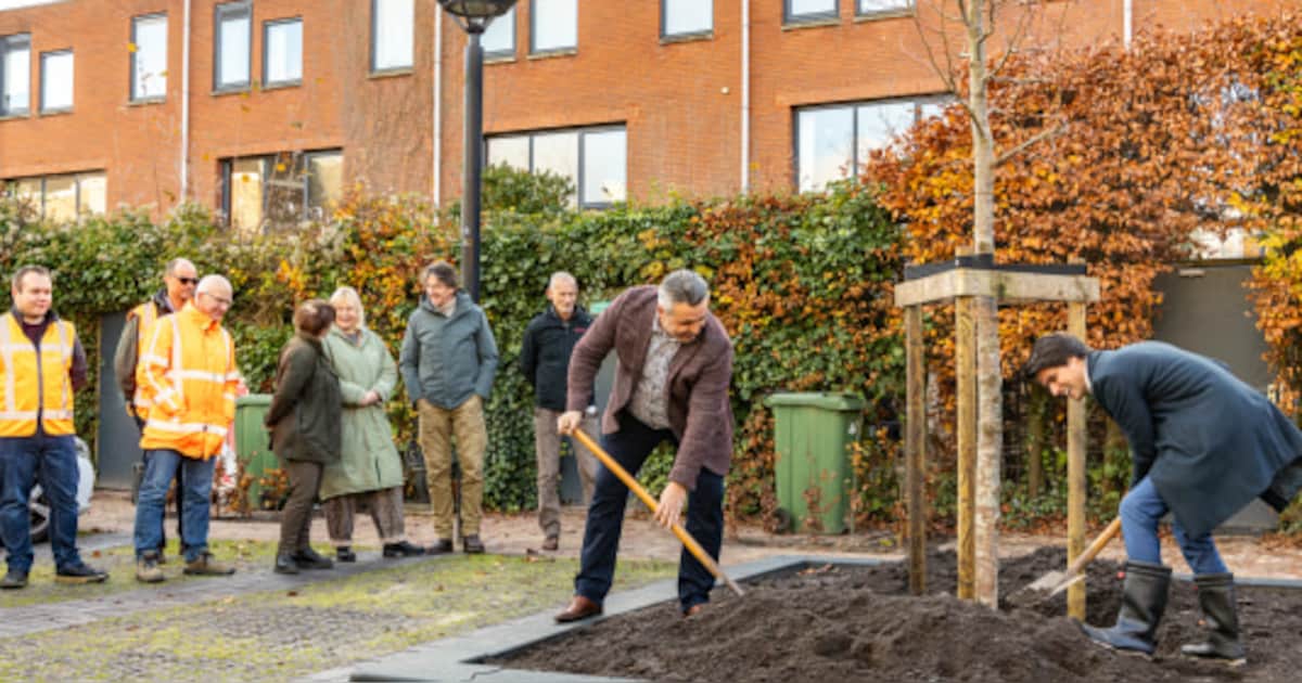Schuttersveld Gorinchem klaar: herinrichting biedt meer groen en minder wateroverlast