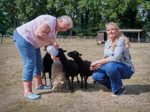 Ina (73) rouwt om verlies van man, dochter en nu haar schapenweide: ‘Vreselijk verlies’