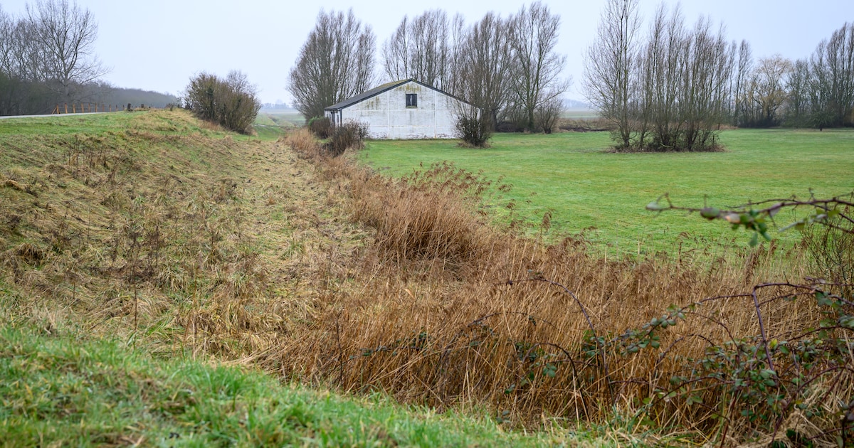 Schouwen-Duiveland is niet van plan vergunning voor ‘Paleis Soestdijk’ bij Zonnemaire in te trekken