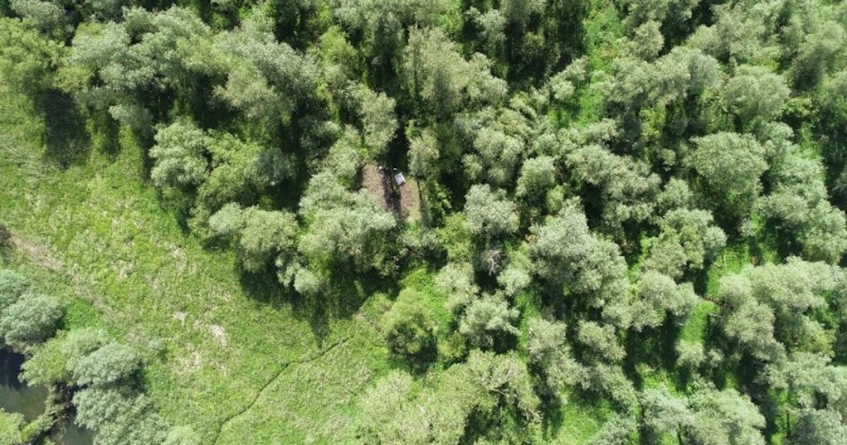 Twee mannen opgepakt voor beschadigen van natuurgebied én het hebben van wietplantage