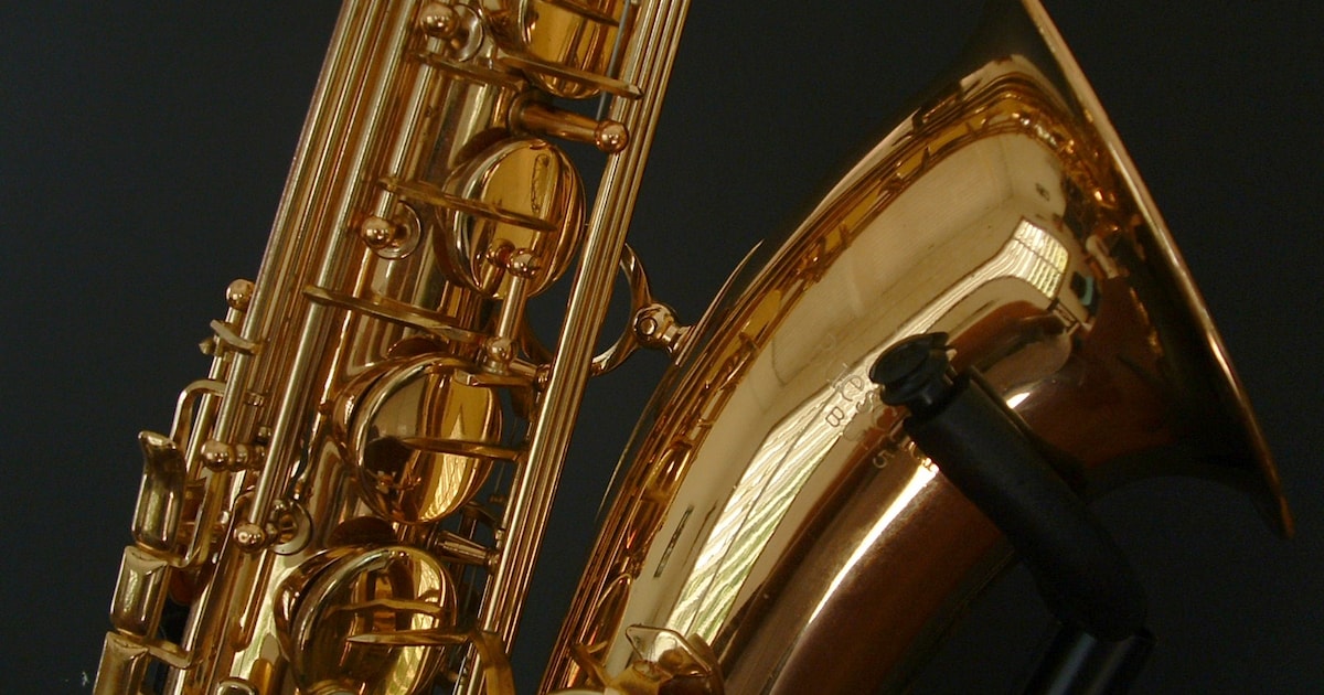 Sin City Seven Jazzband speelt traditionele New Orleans jazz in Etten-Leur