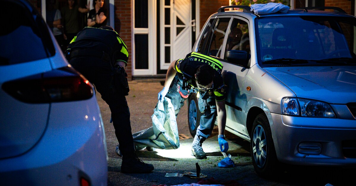 Man zwaargewond na steekincident in Spijkenisse, slachtoffer zocht hulp bij woningen