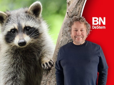 Waar was jij toen je wist dat er wat met de wasbeer was?