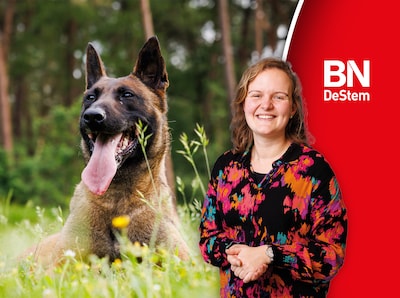 In de winkel, op het terras: overal zijn honden - maar worde