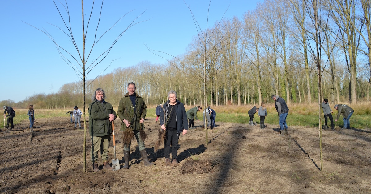 Ronald van Meygaarden is de nieuwe voorzitter van Stichting Het Groene ...