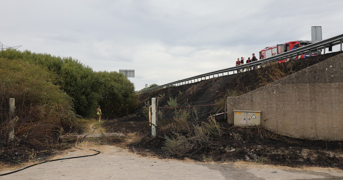 Bermbrand langs de A17 bij Oud Gastel