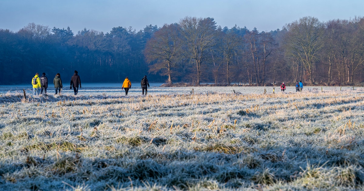 Doorstappen voor een gratis pannenkoek bij de Wandelende Tak van Vivoo