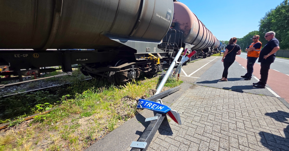 Trein staat stil aan Wieldrechtseweg in Dordrecht, spoorwegovergang kapot