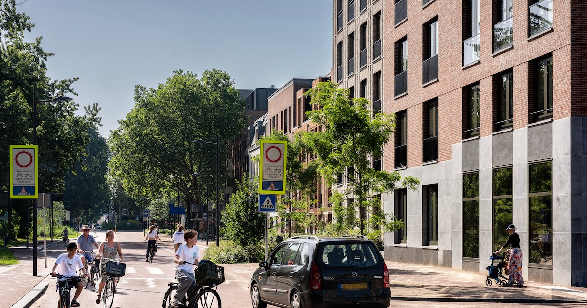 Gaat de veelbesproken ‘knip’ bij Bossche binnenstad op de schop? Als het aan ondernemers ligt wél
