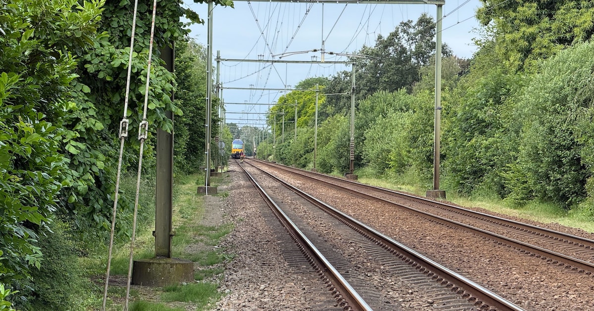 Treinen tussen Breda en Roosendaal rijden weer
